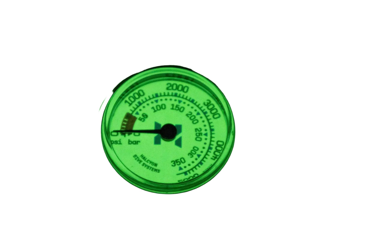 Stage Submersible pressure gauge (Dual face PSI/BAR) - 3