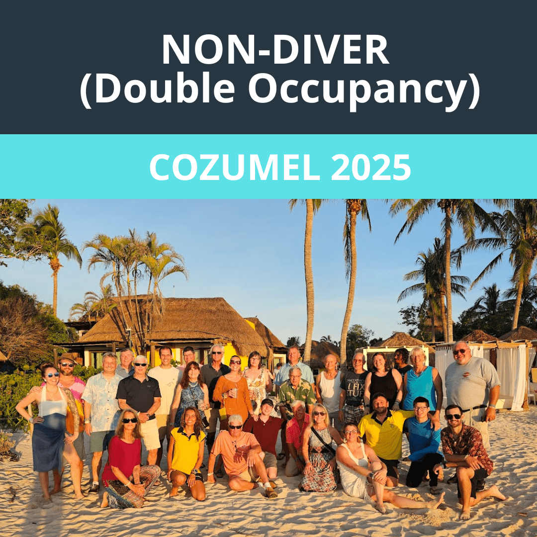 Cozumel 2025 Non - Diver Double Occupancy - 1