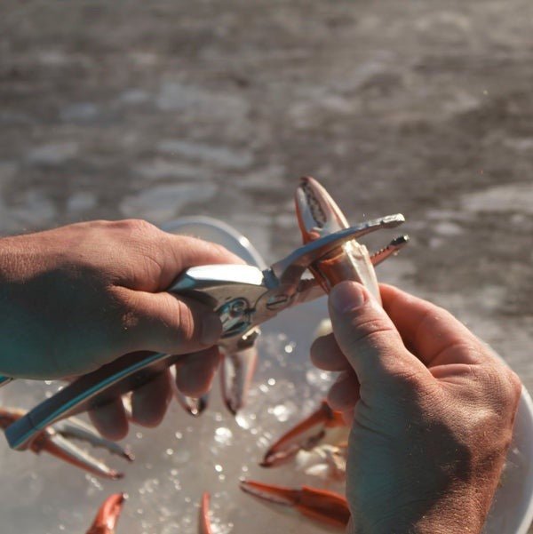 Toadfish Crab & Lobster Claw Cutter - 4