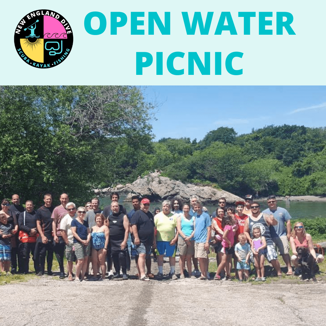 Open Water Picnic - 1