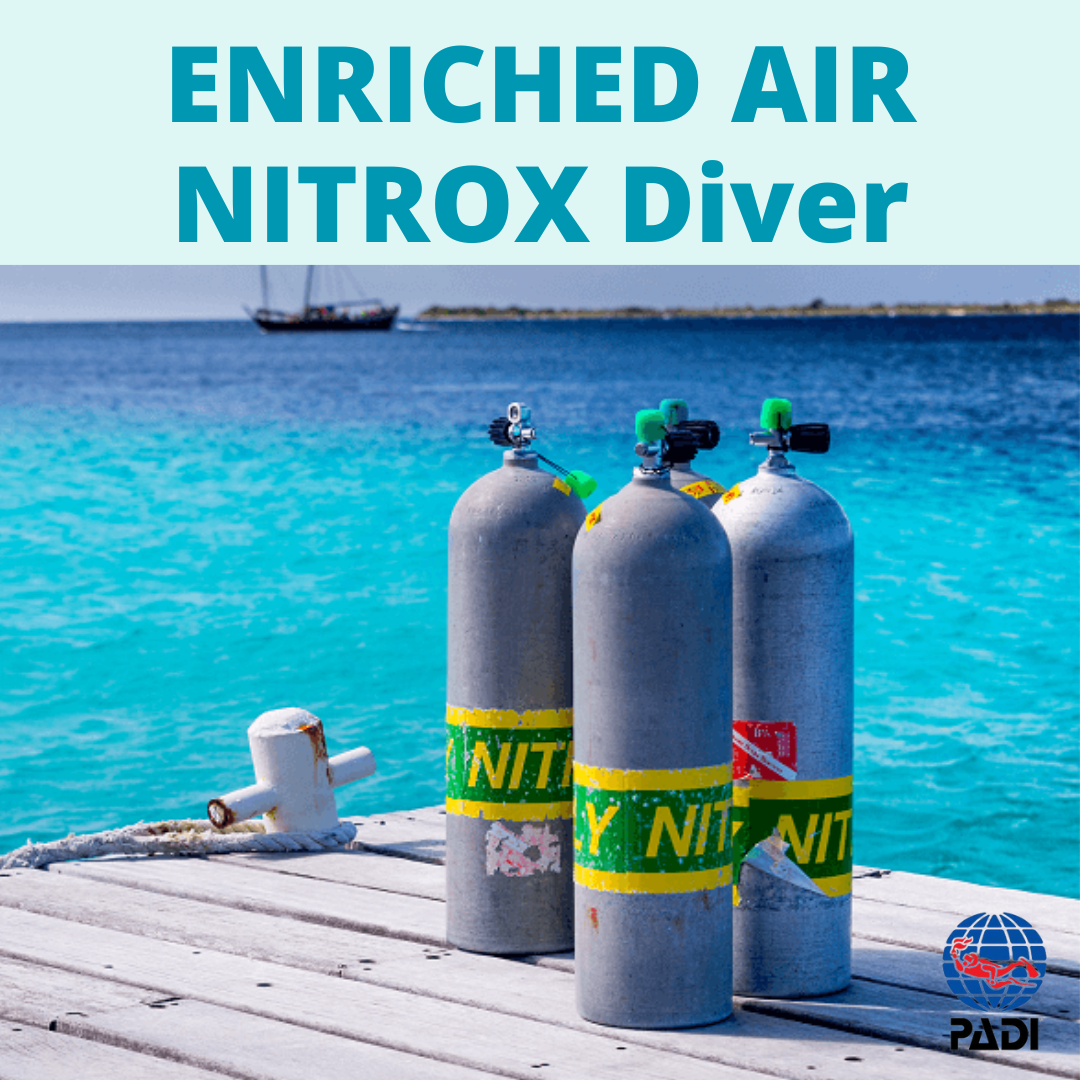 Enroll in a PADI Enriched Air Nitrox diver Course with New England Dive