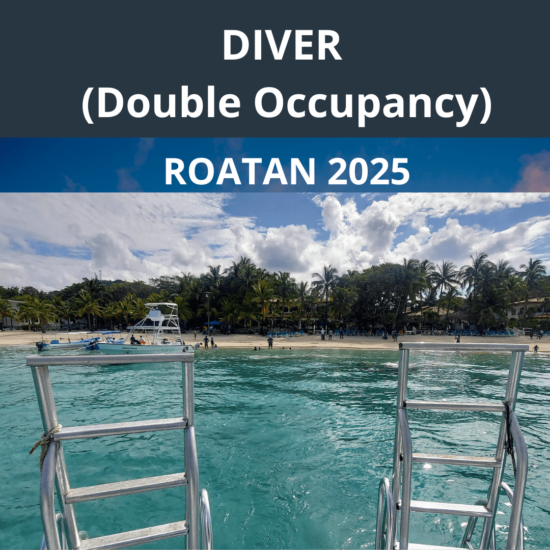 Roatan 2025 Diver Double Occupancy - 1