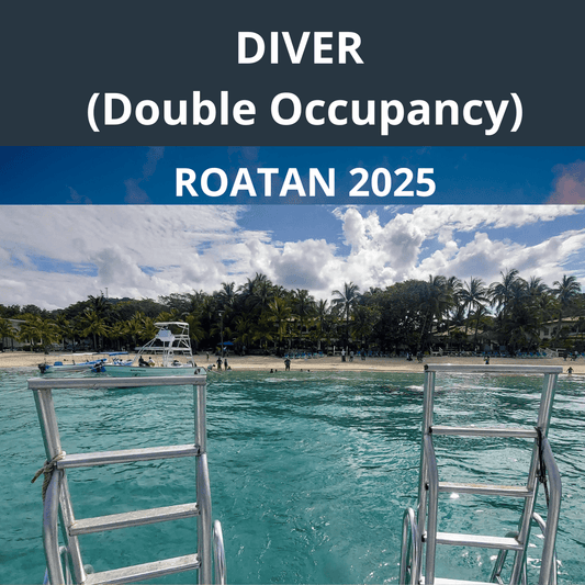 Roatan 2025 Diver Double Occupancy - 1