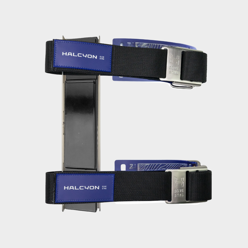 Halcyon Deluxe Single Wing SS Stainless Steel Harness with Padding and Cinch