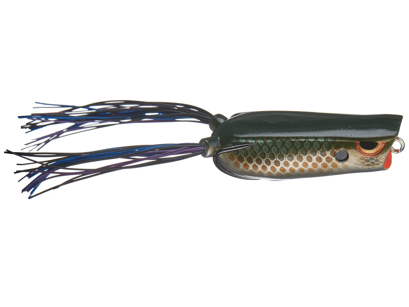 SPRO Bronzeye Frog Popper 60 - Killer Gill - 2