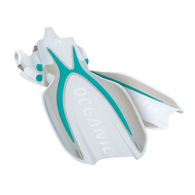 Oceanic Manta Ray - SM - 25