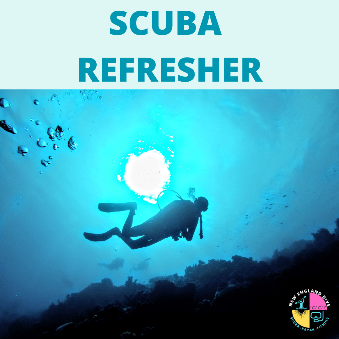 Scuba Refresher Course - Sat 25 April (3:00PM - 7:30PM) - 1