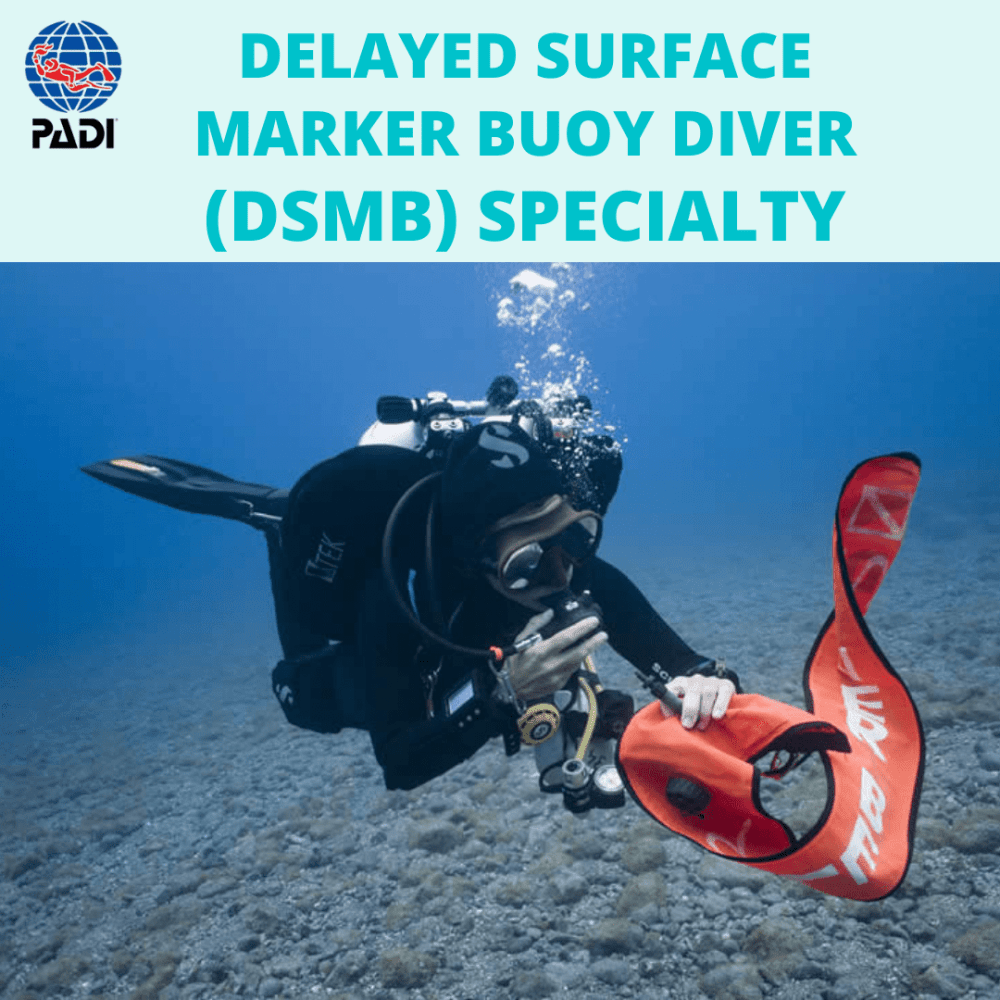 PADI Delayed Surface Marker Buoy (DSMB) Diver Specialty - PADI Delayed Surface Marker Buoy (DSMB) Diver Specialty - 1