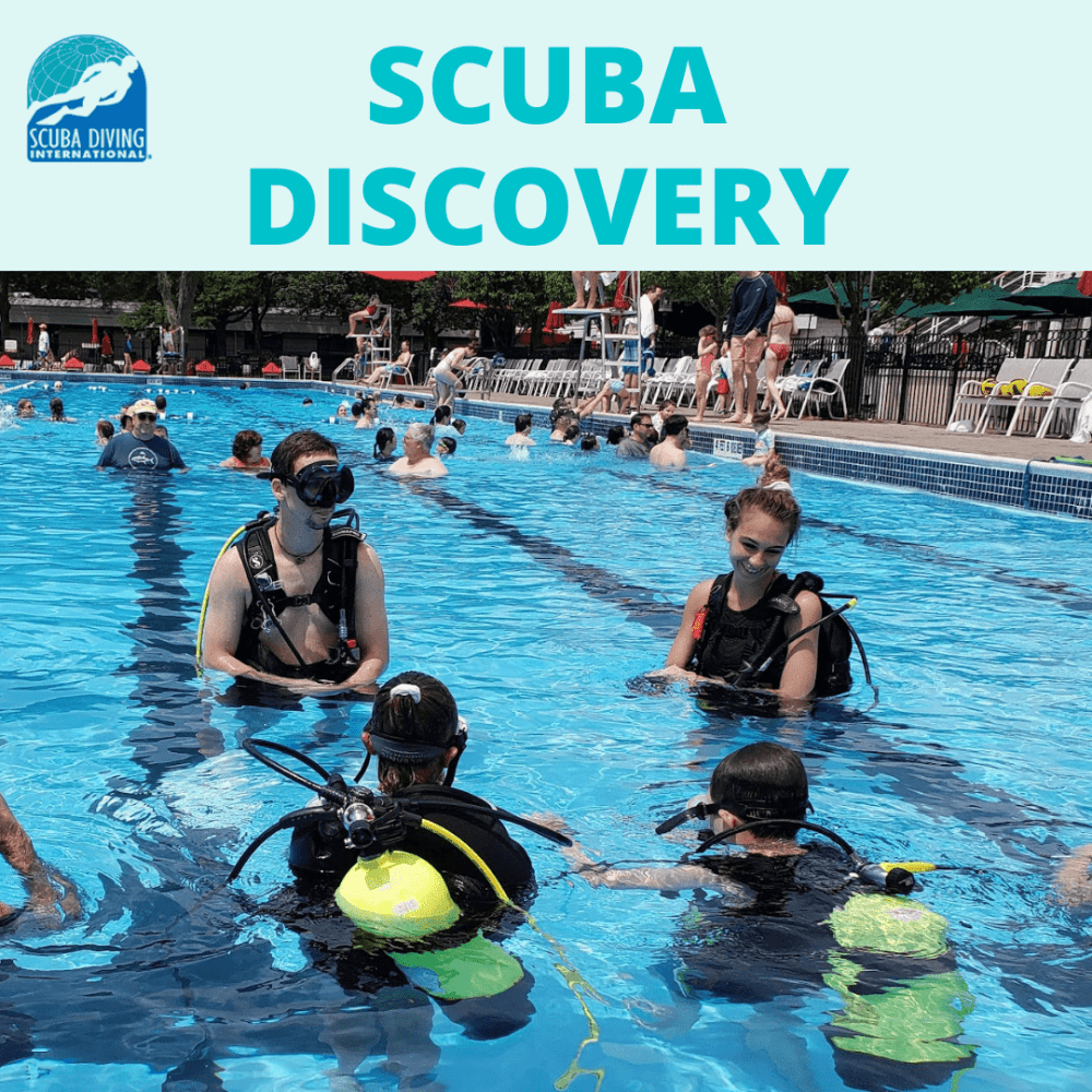 Scuba Discovery - SDI Scuba Discovery - 1