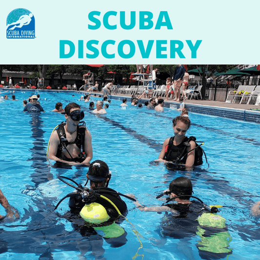 Scuba Discovery - SDI Scuba Discovery - 1