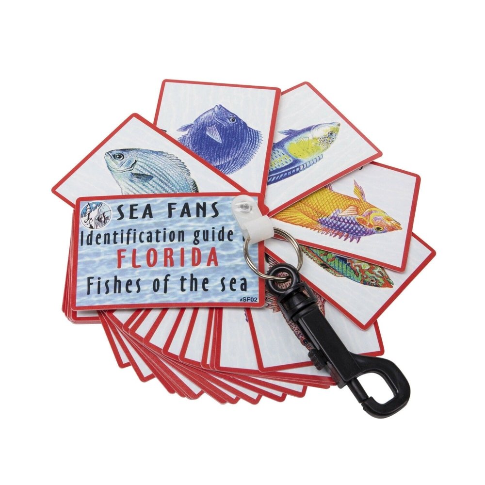Trident Fish Identification Fans - Florida - 40