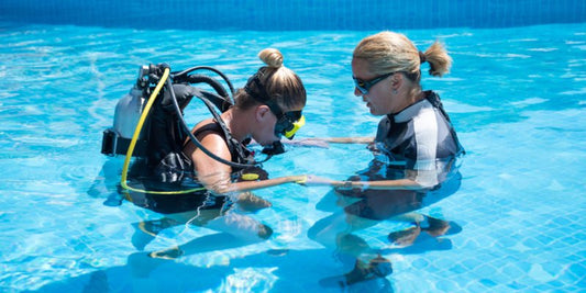 Refer a Friend This Year - New England Dive