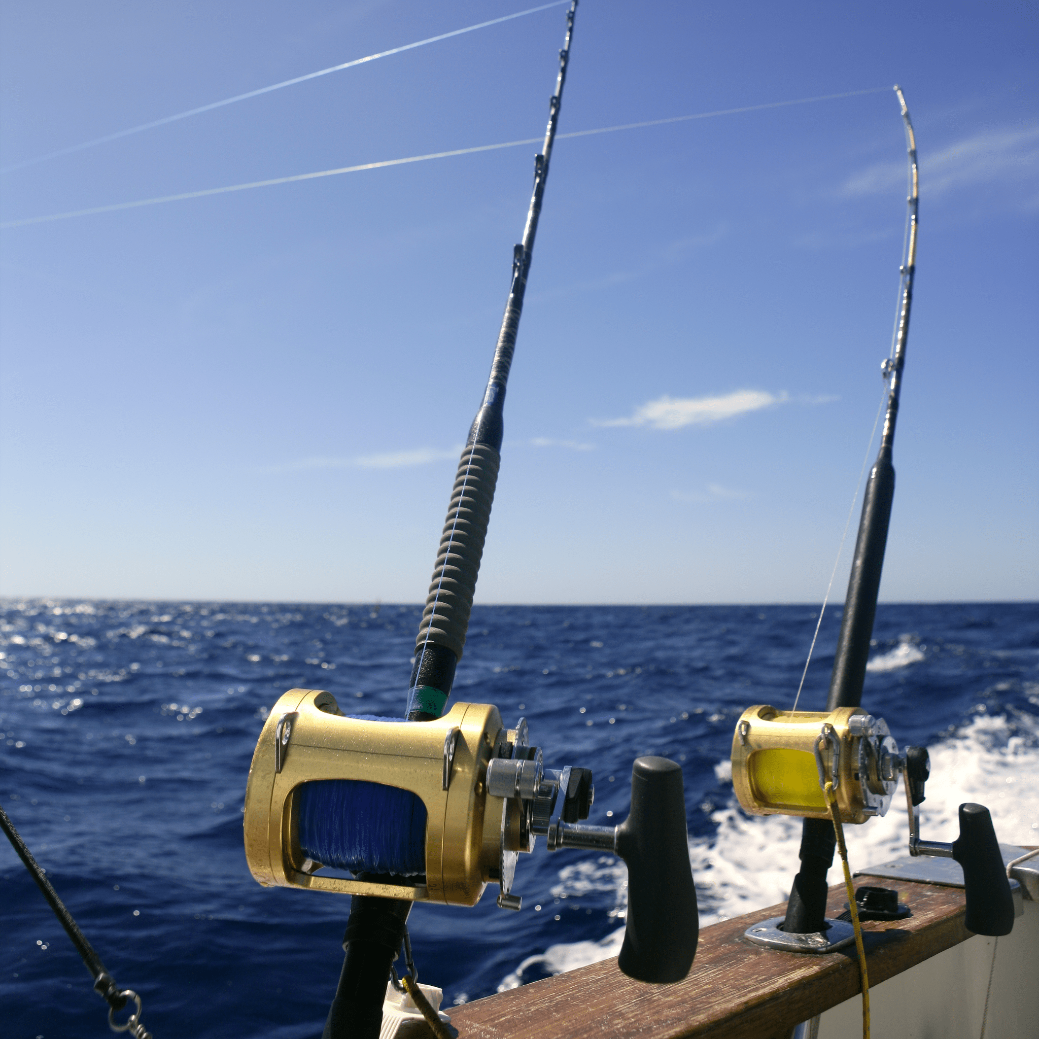 Conventional Fishing Rods | Offshore & Saltwater | New England Dive