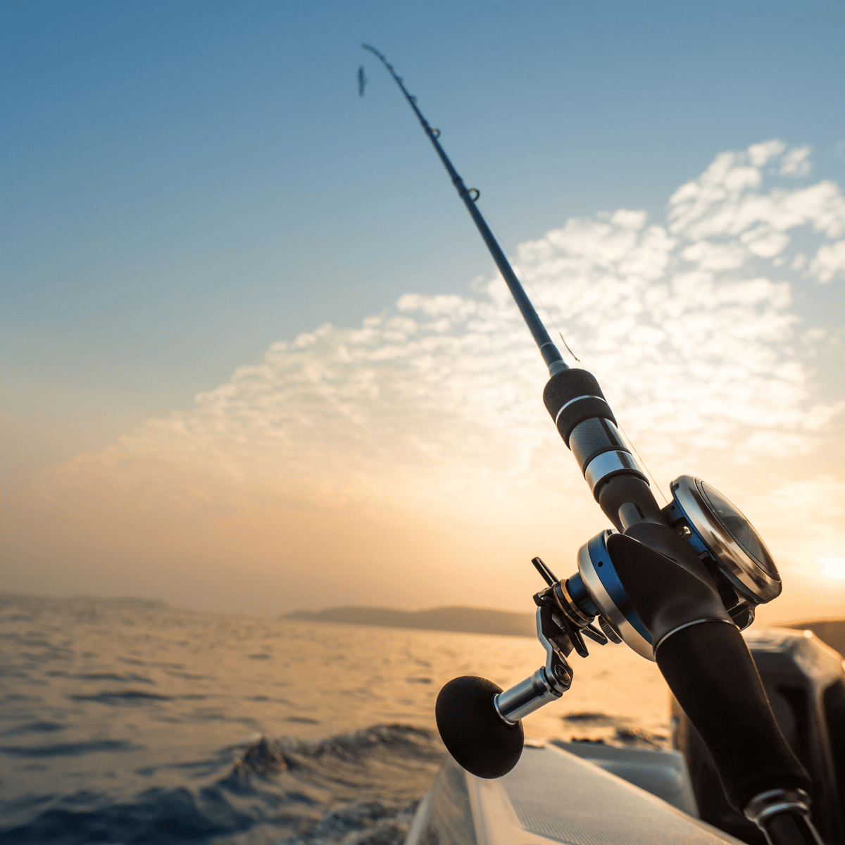 Salt Rod Strand Casting Rods for Bass & Saltwater | New England Dive