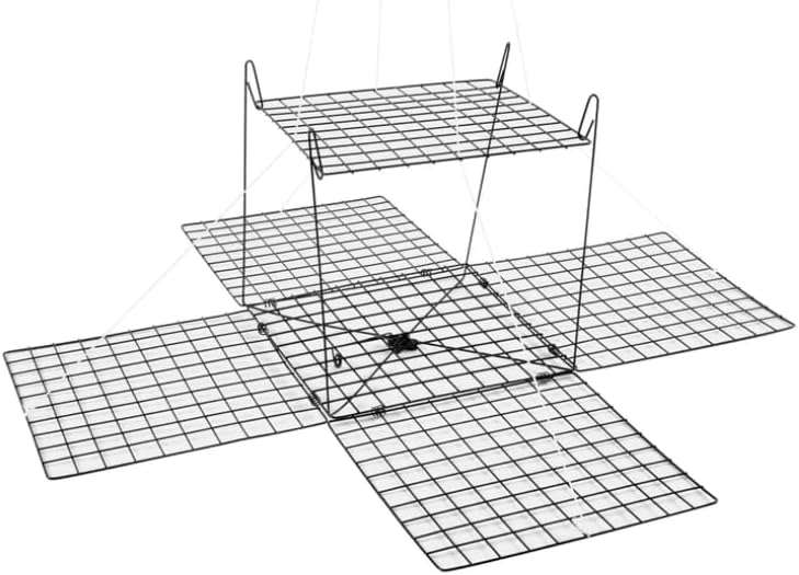 Tsunami Box Crab Trap - 1