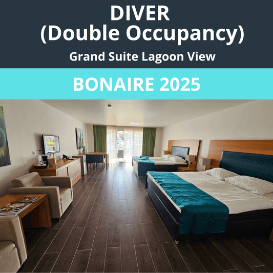 Bonaire 2025 Diver Double Occupancy - 1
