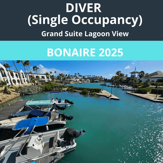 Bonaire 2025 Diver SINGLE Occupancy - 1