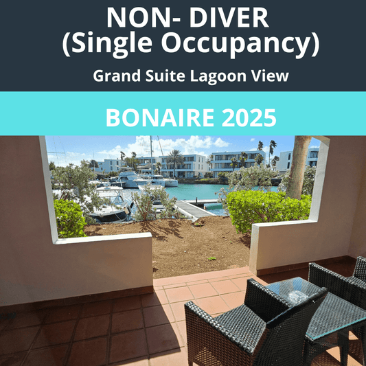 Bonaire 2025 NON - Diver Single Occupancy - 1