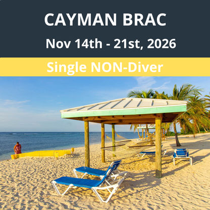 Cayman Brac Dive Vacation - Single Non - Diver - 5