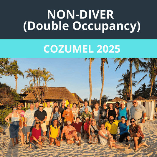 Cozumel 2025 Non - Diver Double Occupancy - 1