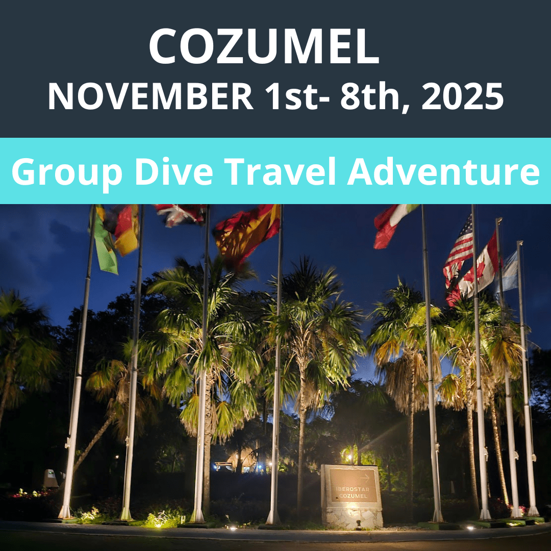 Cozumel 2025 Dive Travel - 1