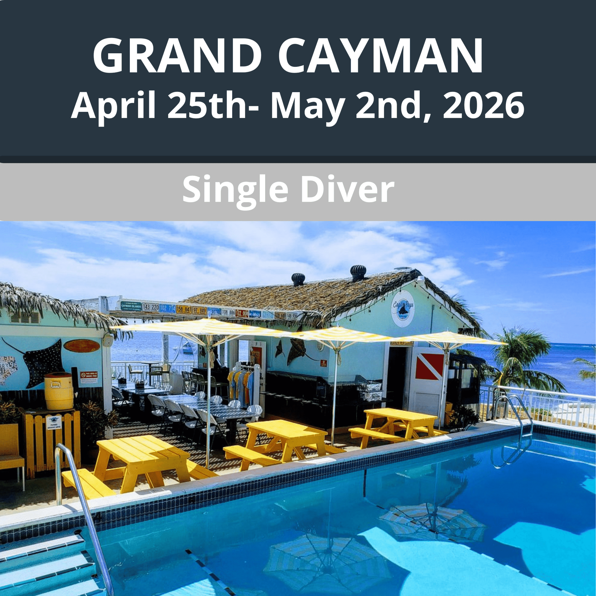 Grand Cayman 2026 Dive Travel - Single Diver - 2