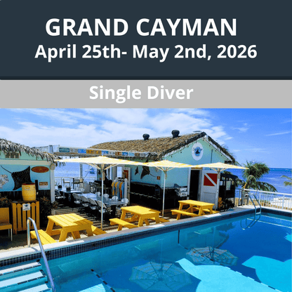 Grand Cayman 2026 Dive Travel - Single Diver - 2