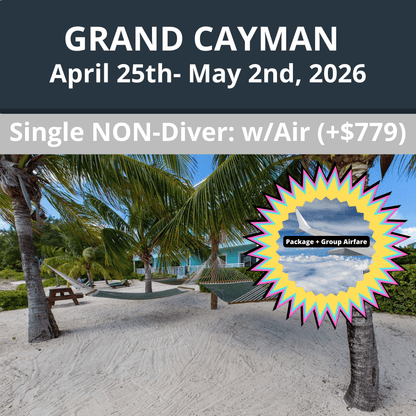 Grand Cayman 2026 Dive Travel - Single Non - Diver: W/GROUP AIRFARE (+$779) - 10