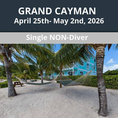 Grand Cayman 2026 Dive Travel - Single Non - Diver - 3