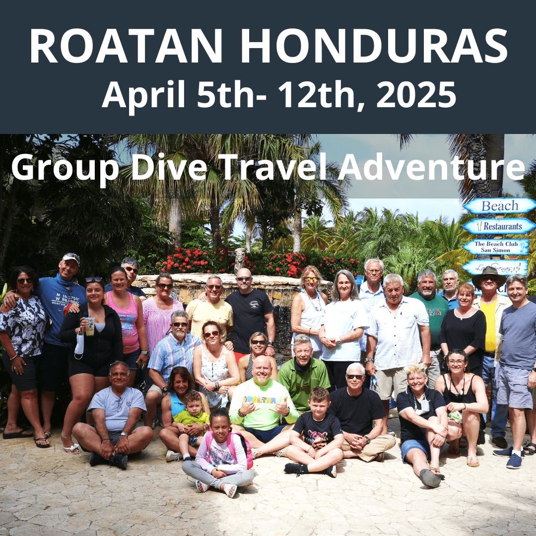 Roatan 2025 Dive Travel - 1