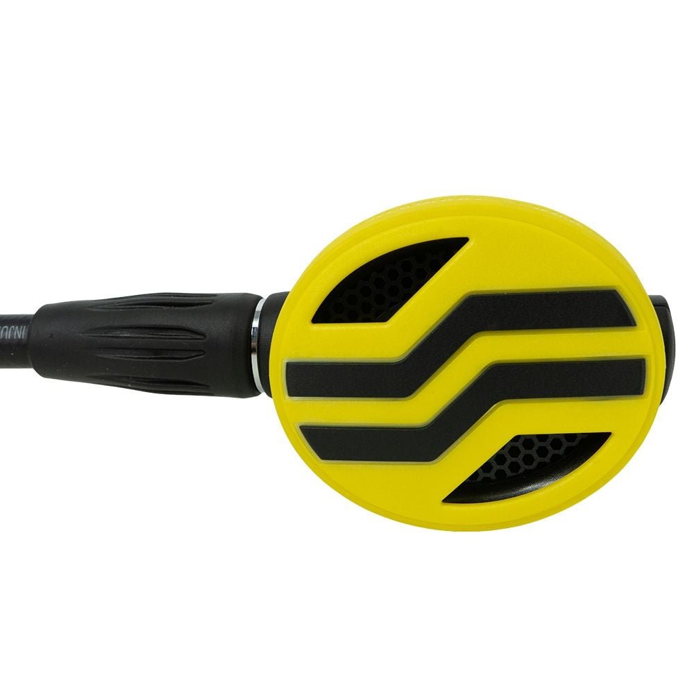 Sherwood Octopus - 1