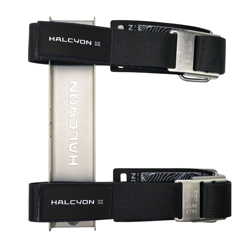 Halcyon Deluxe Single Wing SS Stainless Steel Harness with Padding and Cinch