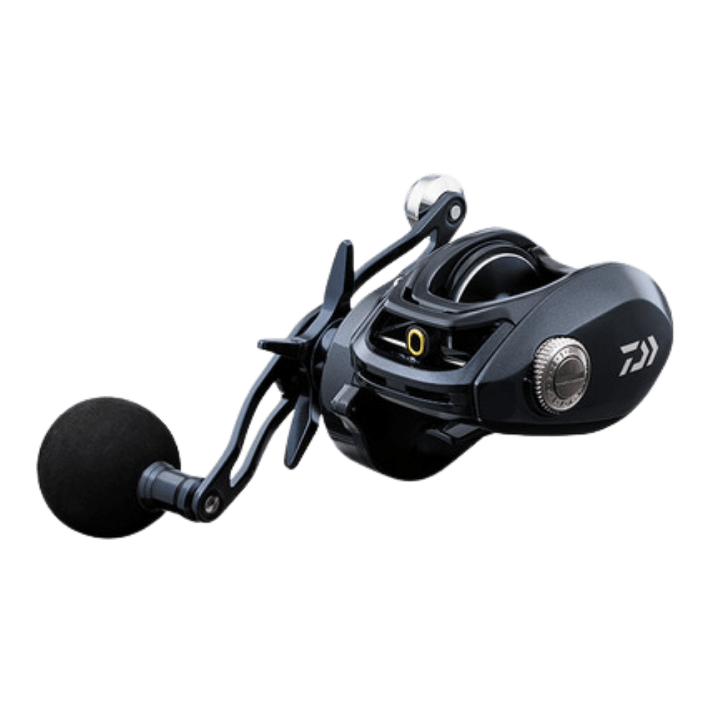 Daiwa LX - HD300HS - P HD Baitcasting Reel Right Hand - 1