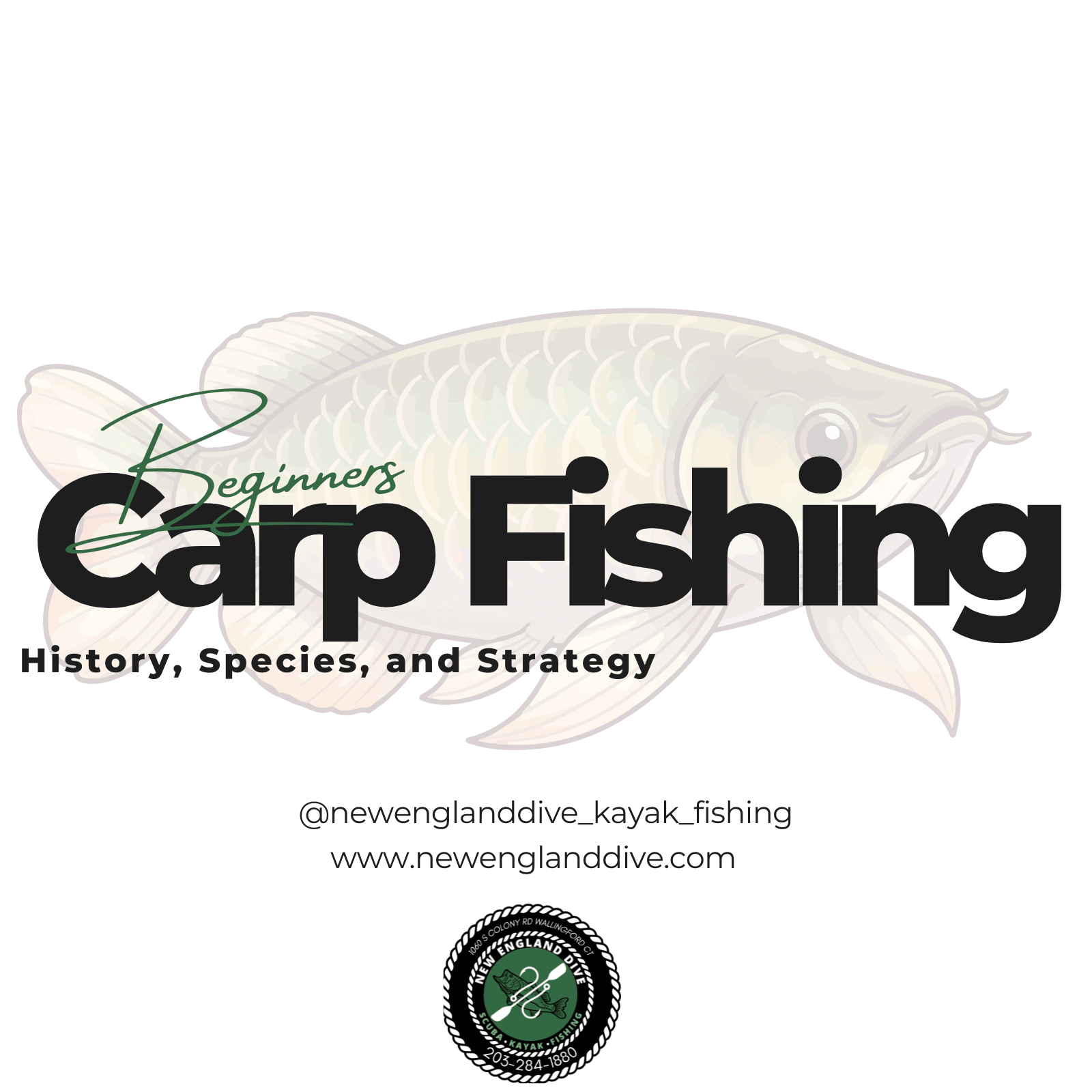 Beginners Carp Fishing Course | Free Event - 1