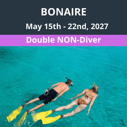 Bonaire Dive Vacation 2027 - Double Non-Diver - 4