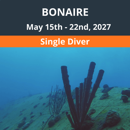 Bonaire Dive Vacation 2027 - Single Diver - 6