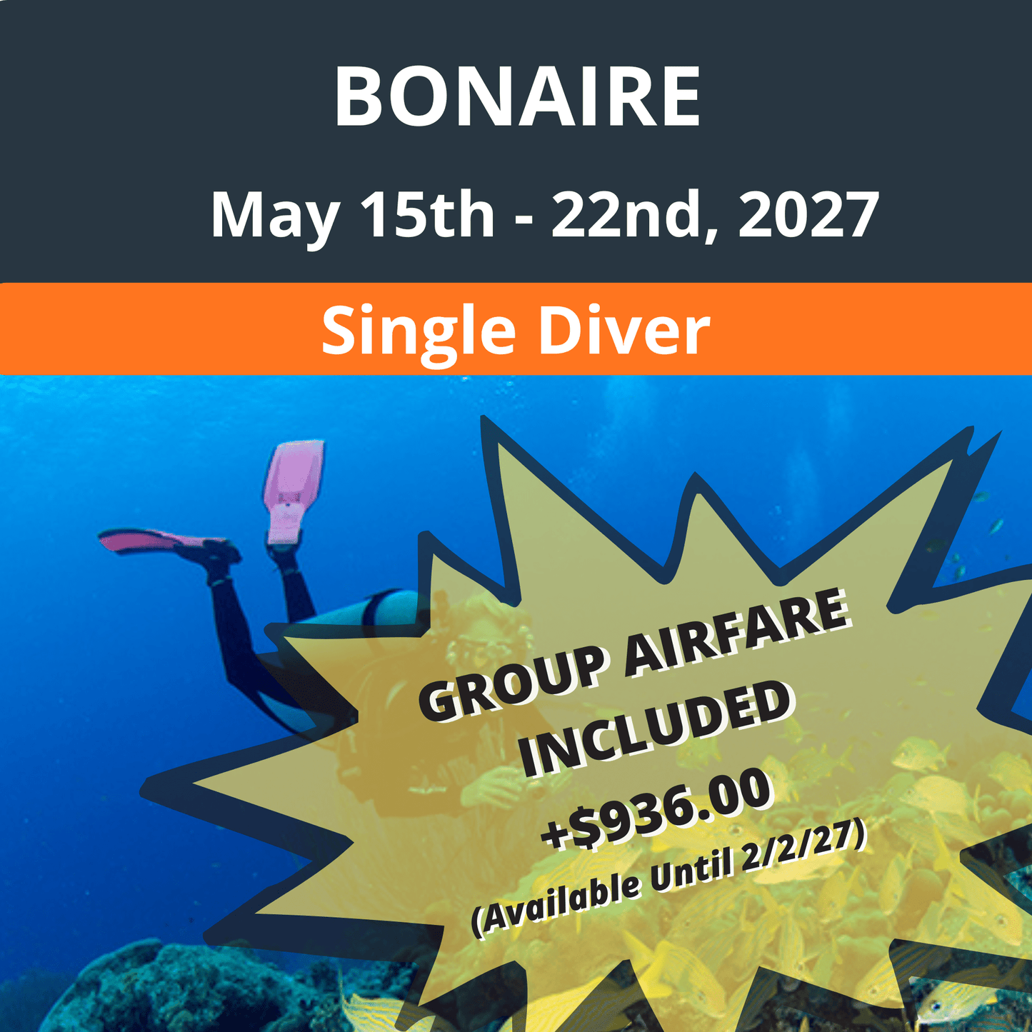 Bonaire Dive Vacation 2027 - Single Diver (With Group Airfare +$936) - 7