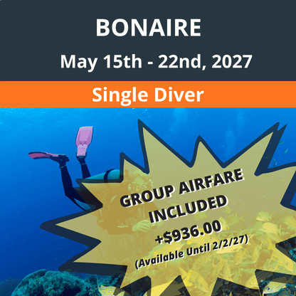 Bonaire Dive Vacation 2027 - Single Diver (With Group Airfare +$936) - 7