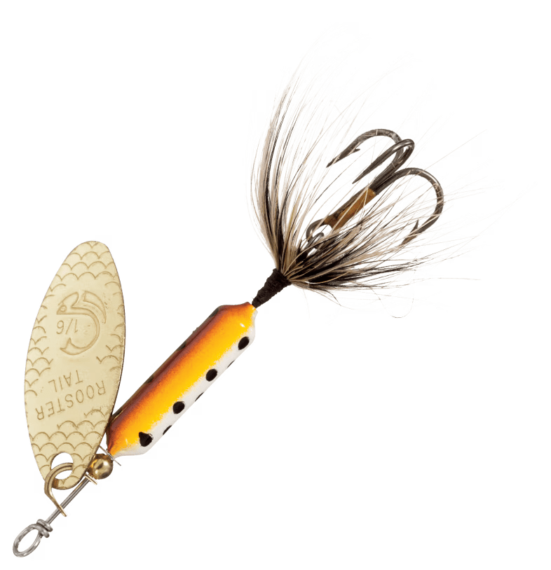 Wordens Rooster Tail - Brown Trout - 4