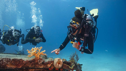 PADI Crew - Pak Digital DM w/Slates/Pro Bag - 1