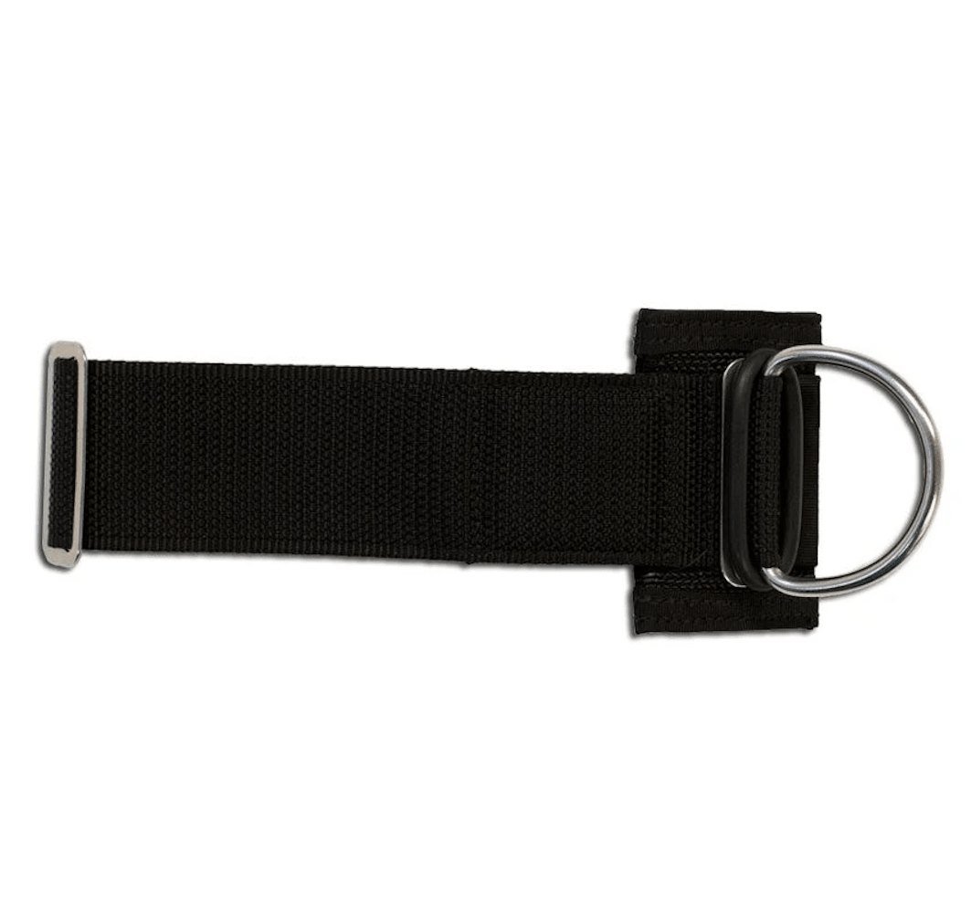 Halcyon Cinch D-Ring Assembly