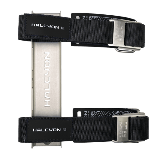 Halcyon Deluxe Single Wing SS Stainless Steel Harness with Padding and Cinch - Stainless STD - 6