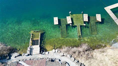Lake Hydra - 1