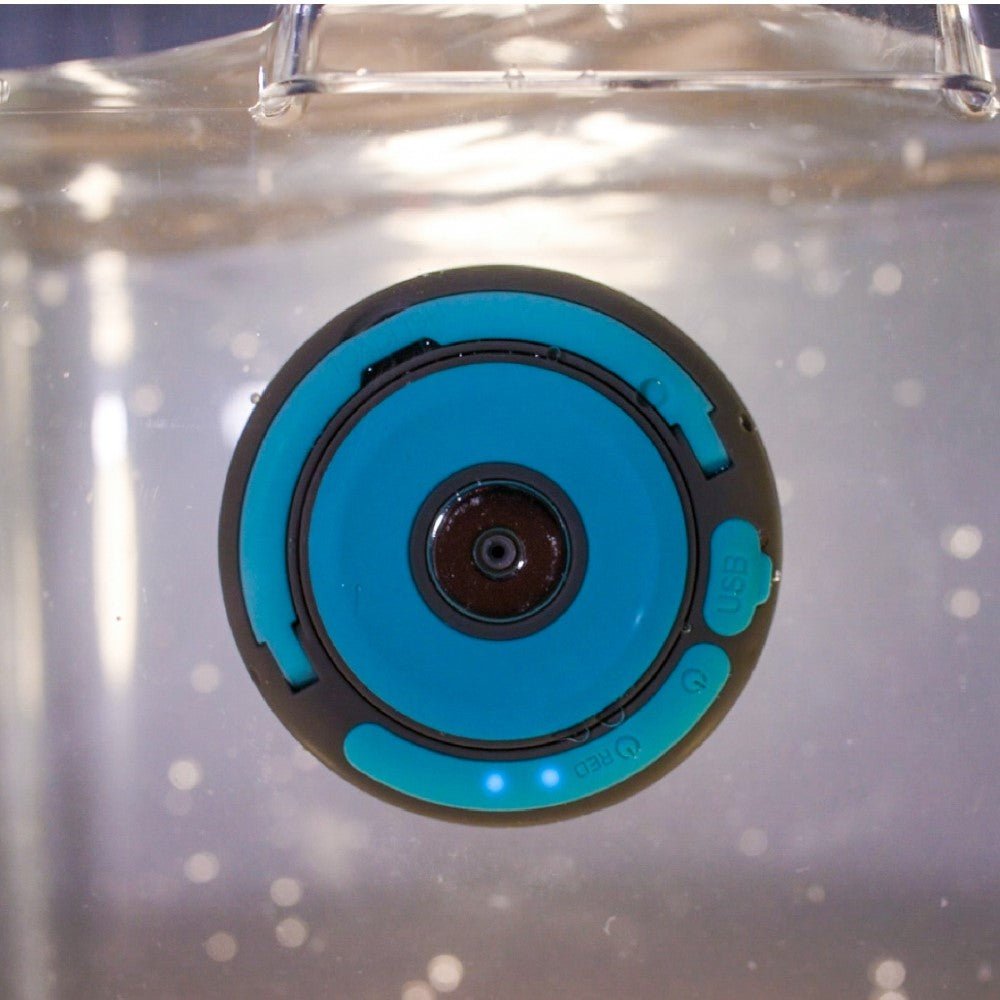 Toadfish Stowaway LED Lantern - 4