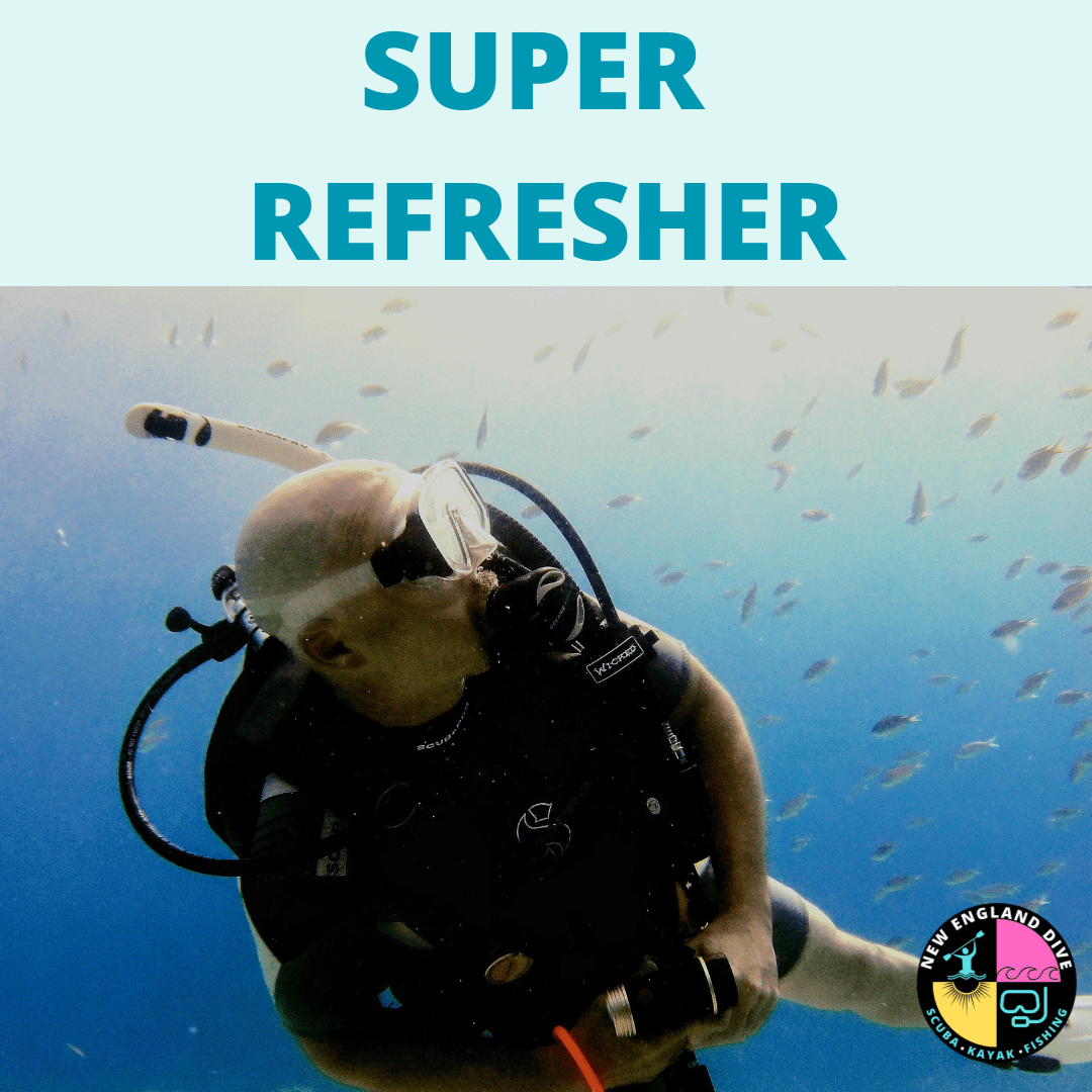 NED Super Refresher - 23 April - 26 April - 1