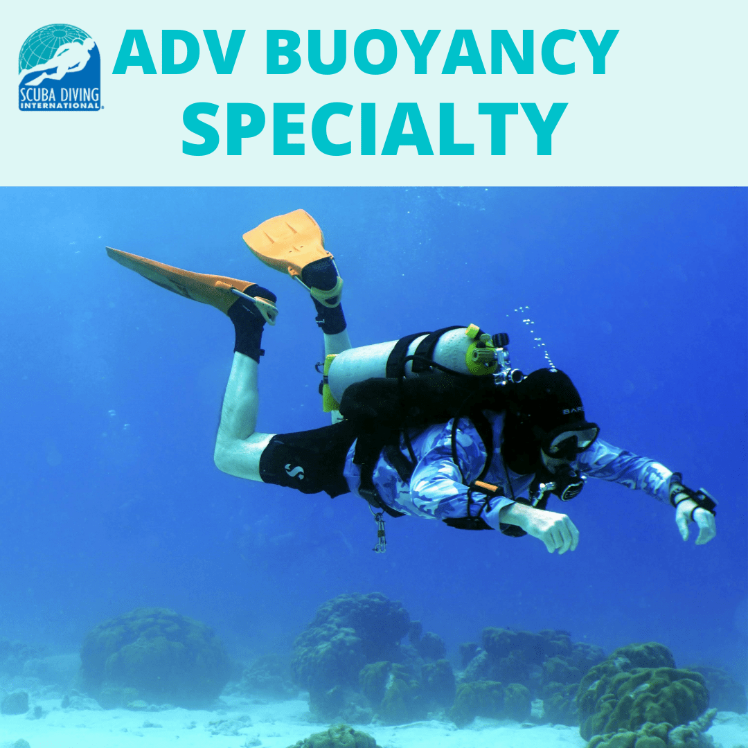 New England Dive Custom SDI Advanced Buoyancy Specialty SDI Advanced Buoyancy Specialty