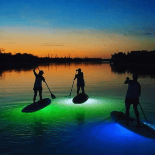 Nocqua Spectrum P2 Paddle Light Kit with Case - 1