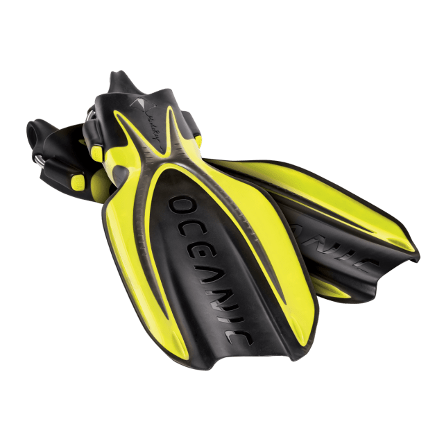 Oceanic Manta Ray - XL - 5