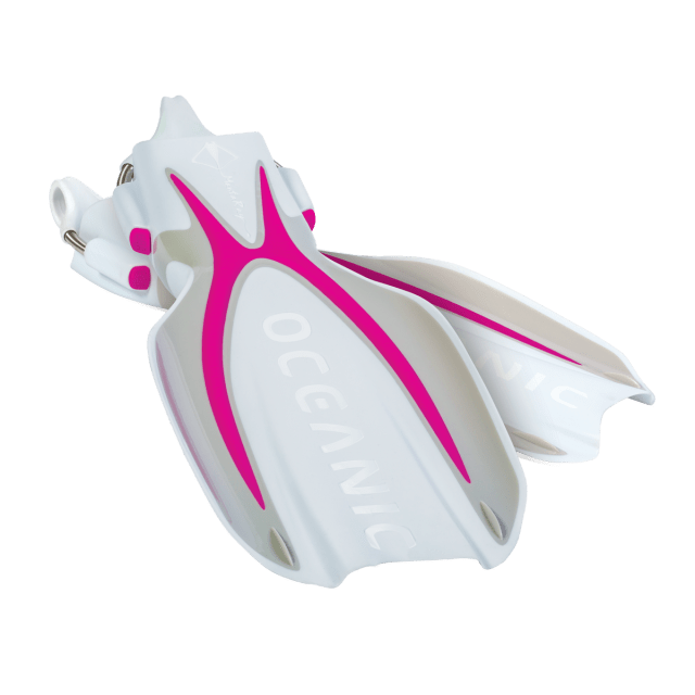 Oceanic Manta Ray - Sm - 23