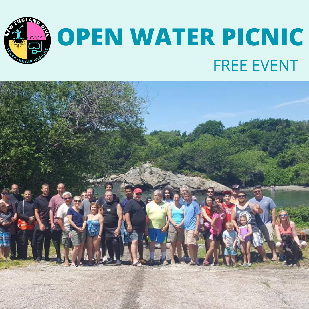 Open Water Picnic | Free Event | New England Dive - Sun 31 May (11:00AM - 1:00PM) - 1